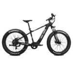 RBSM SPORTS Anaconda 2.1 Electric Fat Tire Bike