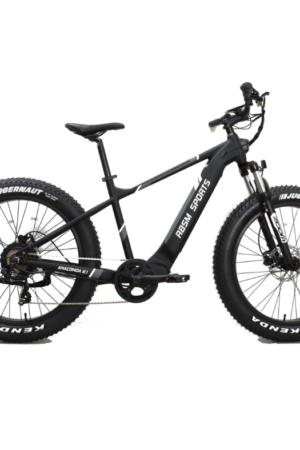 RBSM SPORTS Anaconda 2.1 Electric Fat Tire Bike