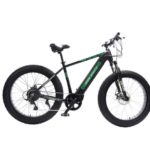 RBSM SPORTS Anaconda Electric Fat Tire Bike