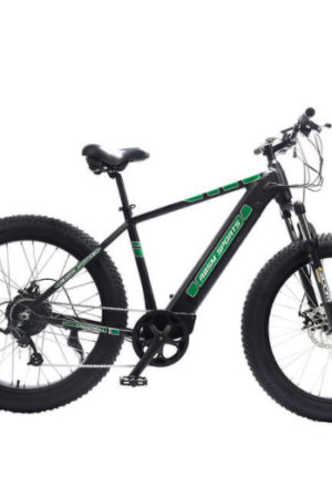 RBSM SPORTS Anaconda Electric Fat Tire Bike