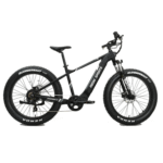 Refurbished RBSM SPORTS Anaconda 2.1 E-bike (flat tire)