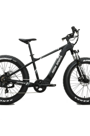 Refurbished RBSM SPORTS Anaconda 2.1 E-bike (flat tire)